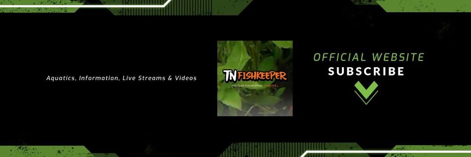 TNFISHKEEPER.COM™ 🐠