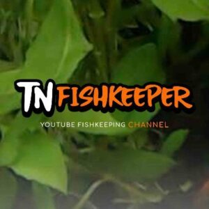 TNFISHKEEPER.COM™ #INTRO